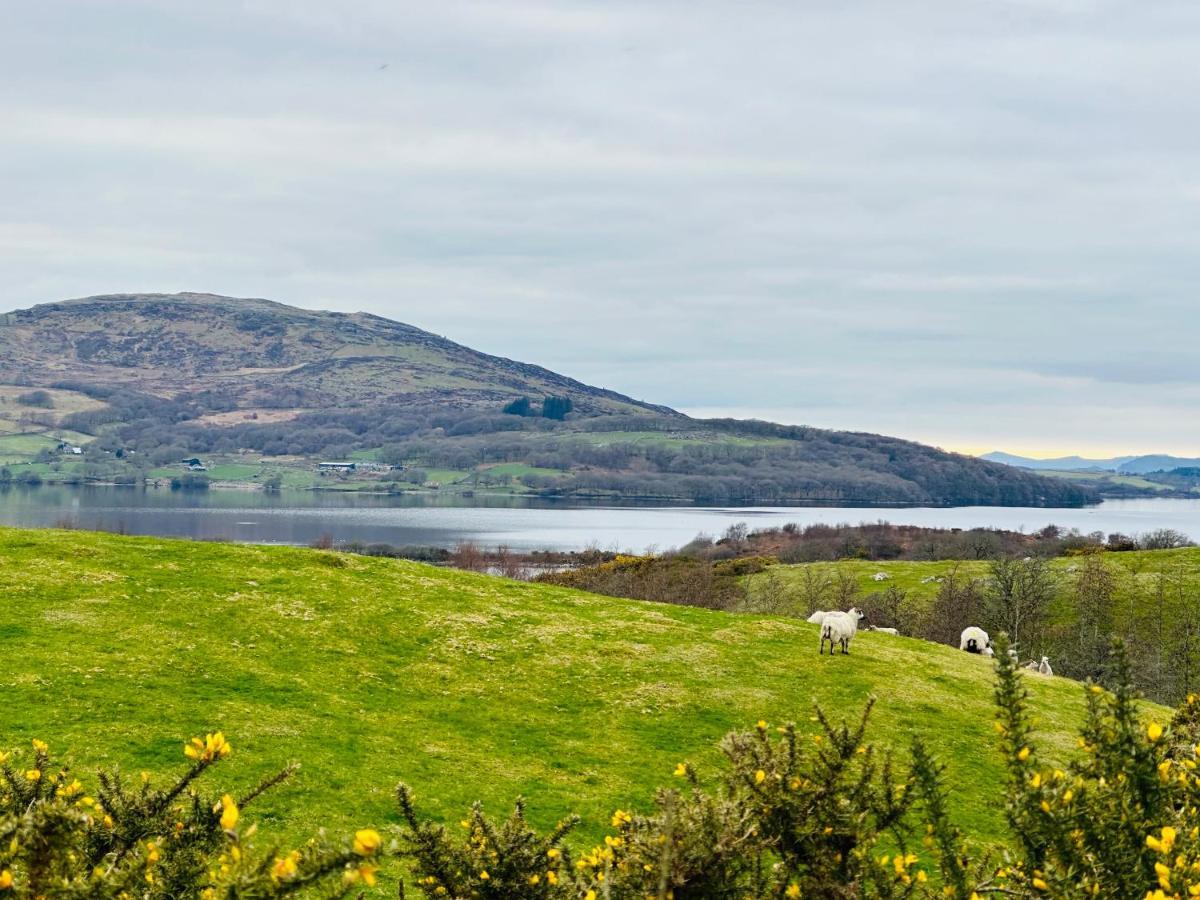 Trawsfynydd Stone Cottage Kültér fotó